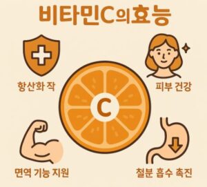 비타민C의효능 썸네일 오렌지 사진과 텍스트로 효능에 대해 나열