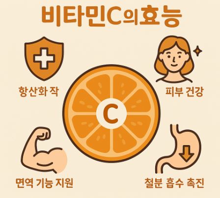 비타민C의효능 썸네일 오렌지 사진과 텍스트로 효능에 대해 나열