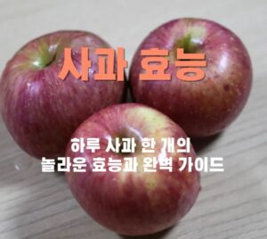 빨간 사과 3개가 놓여져 있는 사진